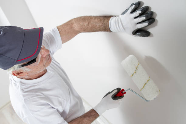 Best Water-Damaged Drywall Repair  in Vandalia, MO