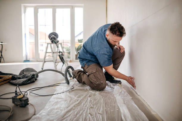 Best Fire-Damaged Drywall Repair  in Vandalia, MO