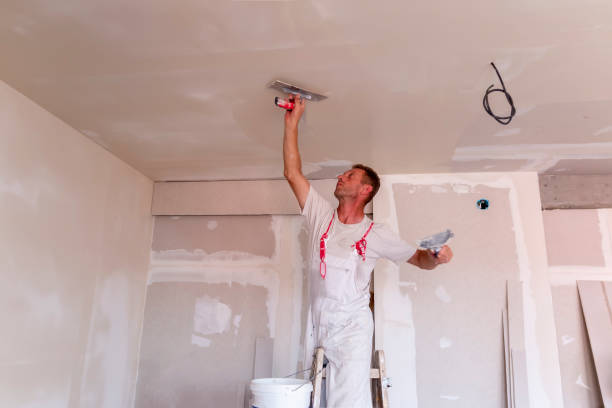 Best Drywall Crack Repair  in Vandalia, MO